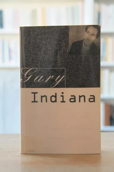 Let it Bleed: Essays 1985-1995 - Gary Indiana, knyga