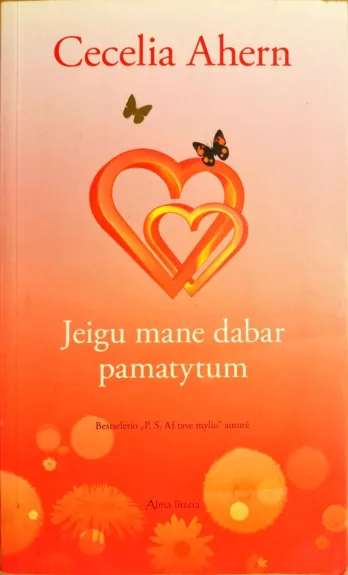 Jeigu mane dabar pamatytum - Cecelia Ahern, knyga