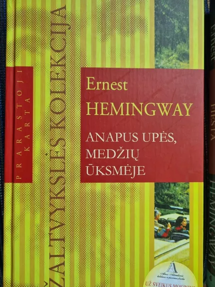 Anapus upės, medžių ūksmėje - Ernest Hemingway, knyga