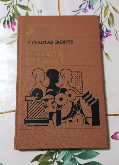 Mažosios išpažintys - Vytautas Bubnys, knyga
