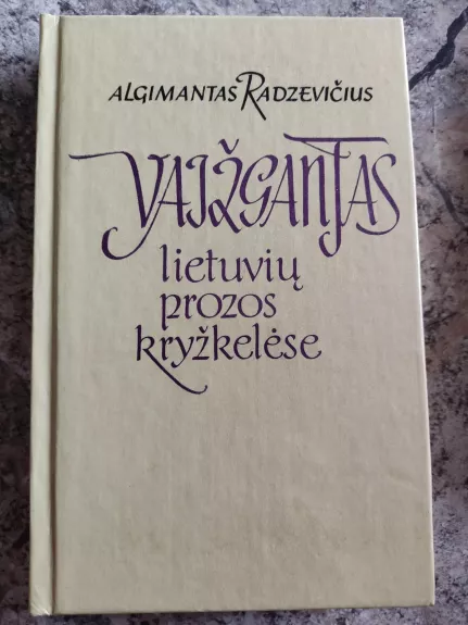 Vaižgantas lietuvių prozos kryžkelėse - Algimantas Radzevičius, knyga