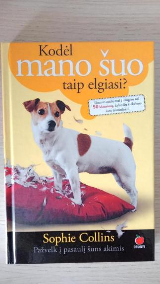 Kodėl mano šuo taip elgiasi