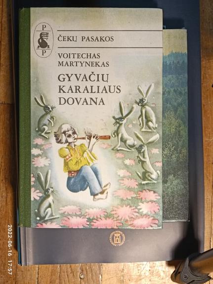 Gyvačių karaliaus dovana. Čekų pasakos