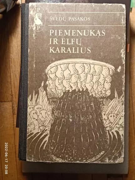 Piemenukas ir Elfų karalius - Autorių Kolektyvas, knyga