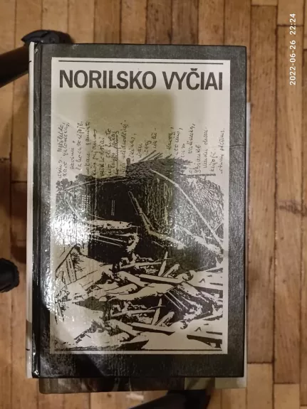 Norilsko Vyčiai