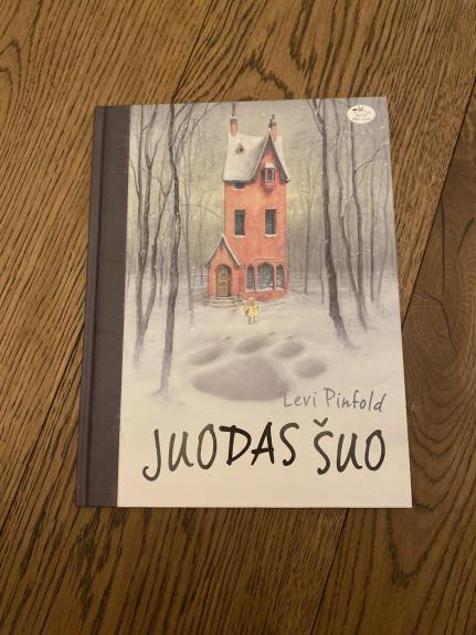 Juodas šuo - Levi Pinfold, knyga