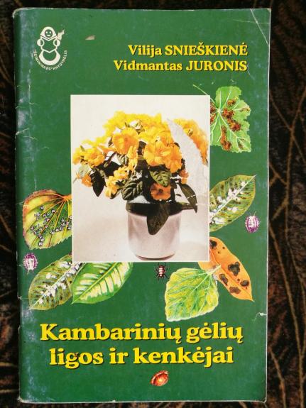 Kambarinių gėlių ligos ir kenkėjai