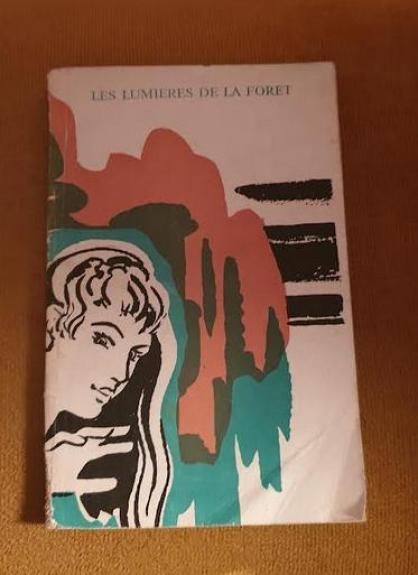 Les lumieres de la foret