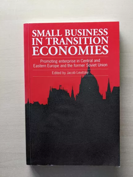 Small business in transition economies : promoting enterprise in Central and Eastern Europe and the former Soviet Union - Jacob Levitsky, knyga