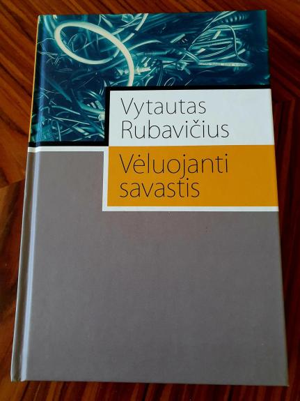 Vėluojanti savastis - Vytautas Rubavičius, knyga 1