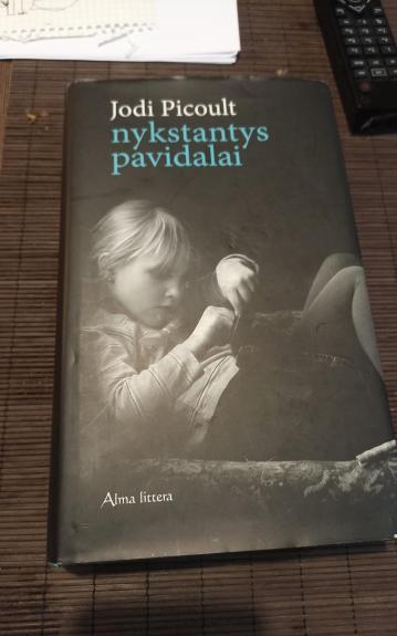Nykstantys pavidalai - Jodi Picoult, knyga