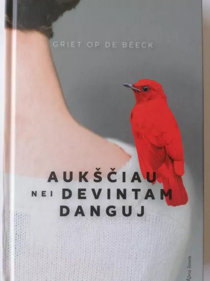 Aukščiau nei devintam danguj - Griet Op de Beeck, knyga