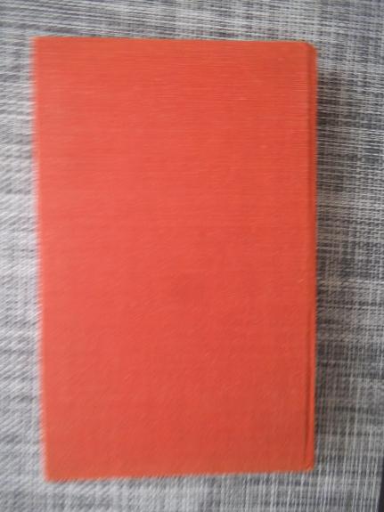 Pažemintieji ir nuskriaustieji