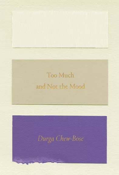 Too Much and Not the Mood - Durga Chew-Bose, knyga