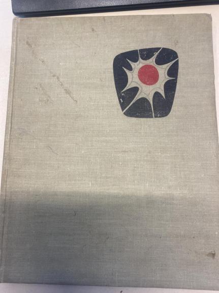 Vienos žemės vaikai