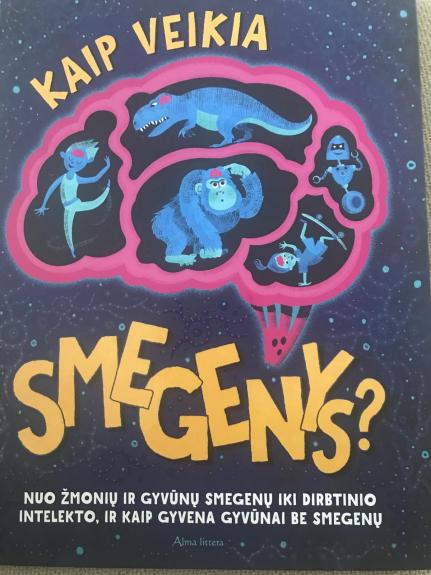 Kaip veikia smegenys? - Tim Kennington, knyga