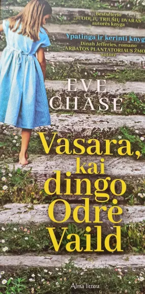 Vasara, kai dingo Odrė Vaild - Eve Chase, knyga