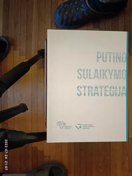 Putino sulaikymo strategija - Autorių Kolektyvas, knyga