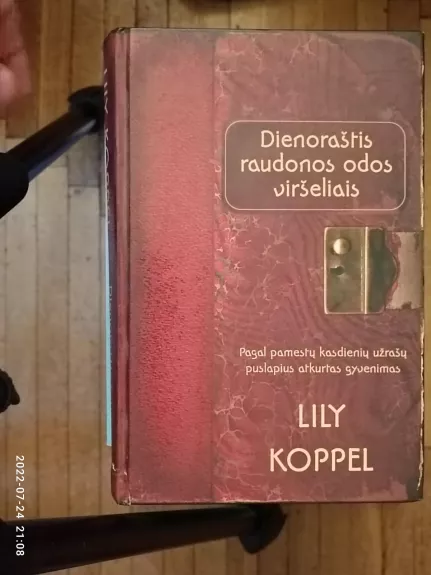 Dienoraštis raudonos odos viršeliais - Lily Koppel, knyga