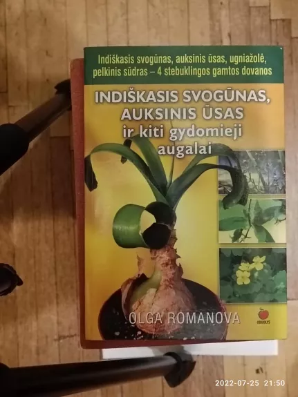 Indiškasis svogūnas, auksinis ūsas ir kiti gydomieji augalai - Olga Romanova, knyga