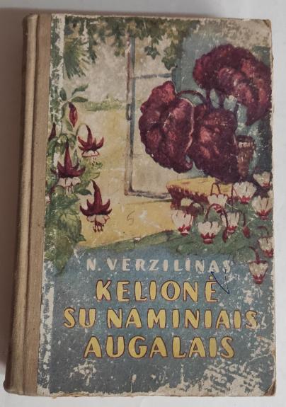 Kelionė su naminiais augalais