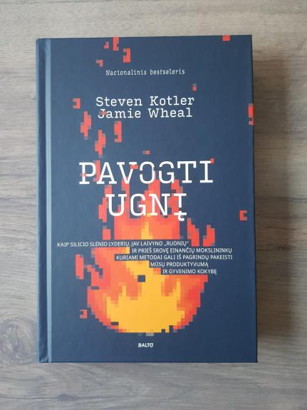 Pavogti ugnį - Steven Kotler, Jamie Wheal, knyga