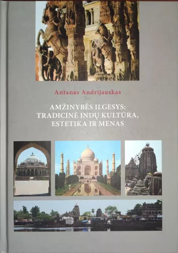 Amžinybės ilgesys: tradicinė indų kultūra, estetika ir menas - Antanas Andrijauskas, knyga