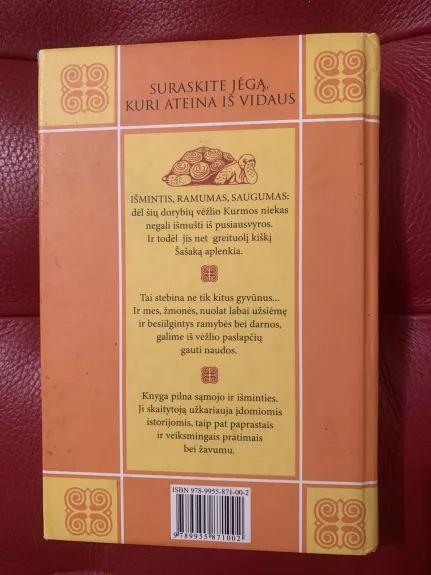 Septynios vėžlio paslaptys - Aljoscha A. Schwarz, Ronald P.  Schweppe, knyga 1