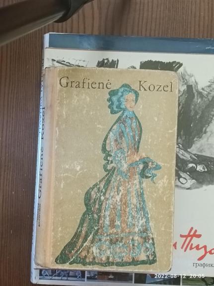 Grafienė Kozel - J.I. Kraševskis, knyga