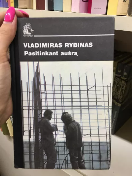 Pasitinkant aušrą - Vladimiras Rybinas, knyga