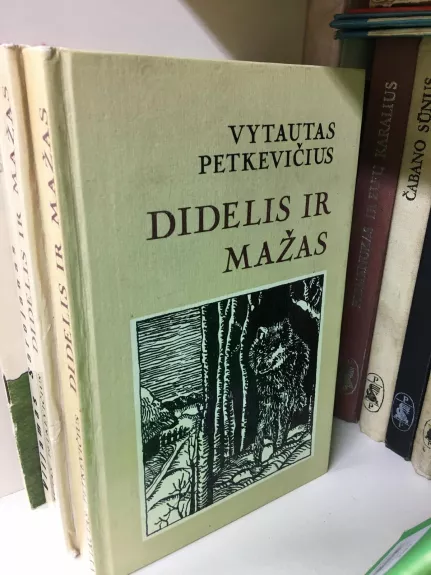 Didelis ir mažas - Vytautas Petkevičius, knyga