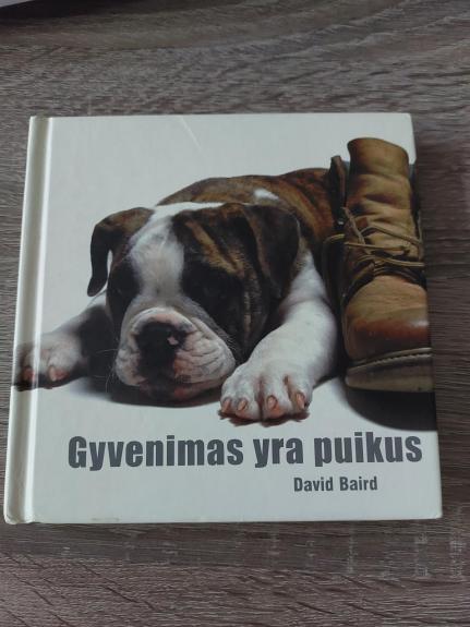 Gyvenimas yra puikus
