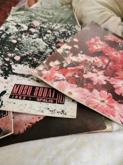 Mūsų sodai, 1963 m., Nr. 1