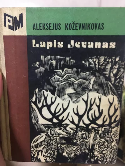 Lapis Jevanas - A. Koževnikovas, knyga