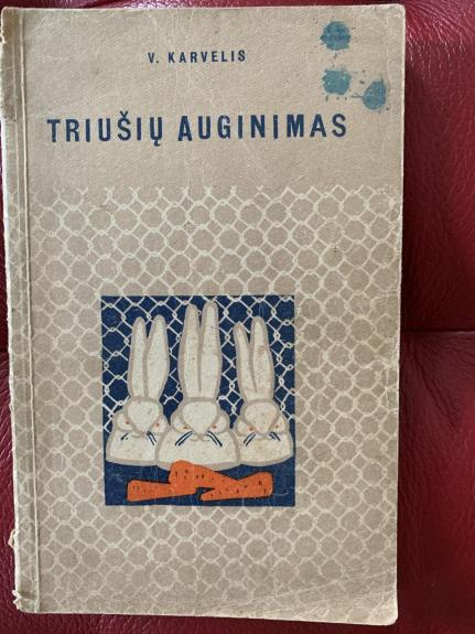 Triušių auginimas