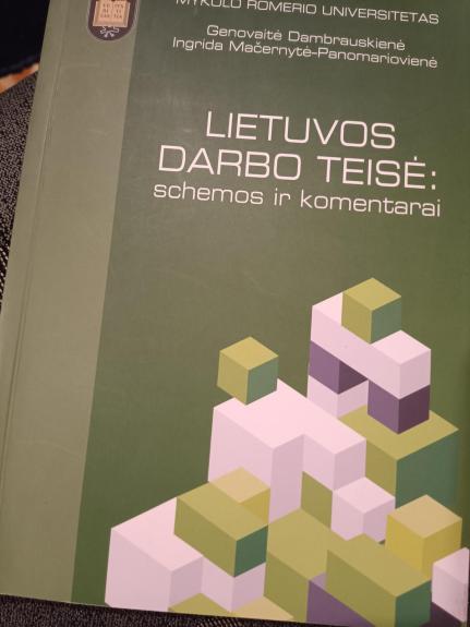 Lietuvos darbo teisė: schemos ir komentarai