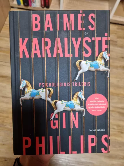 Baimės karalystė - Gin Phillips, knyga