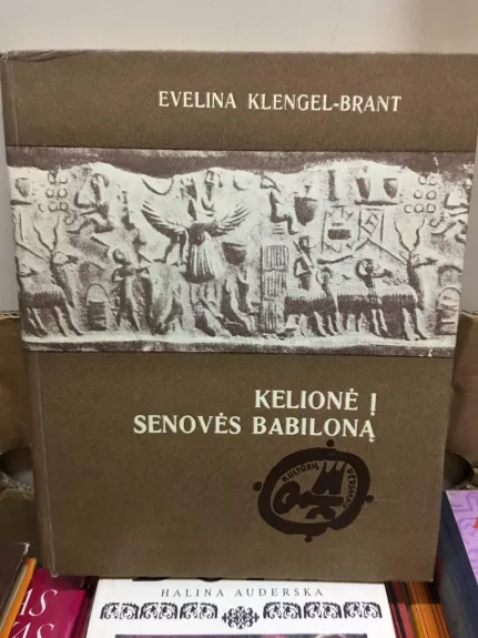 Kelionė į senovės Babiloną - Evelina Klengel-Brant, knyga