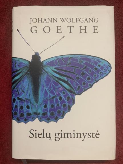 Sielų giminystė - Johann Wolfgang Goethe, knyga