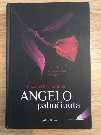Angelo Pabučiuota (1 knyga) - Chandler Elizabeth, knyga 1