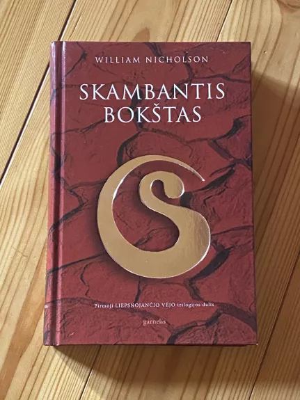 Skambantis bokštas - William Nicholson, knyga