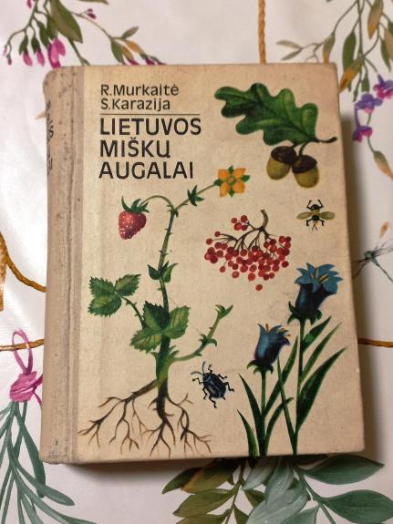 Lietuvos miškų augalai - R. Murkaitė, knyga