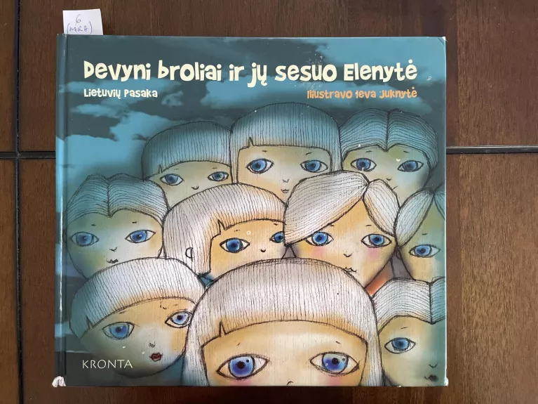 Devyni broliai ir jų sesuo Elenytė - Ieva Juknytė, knyga