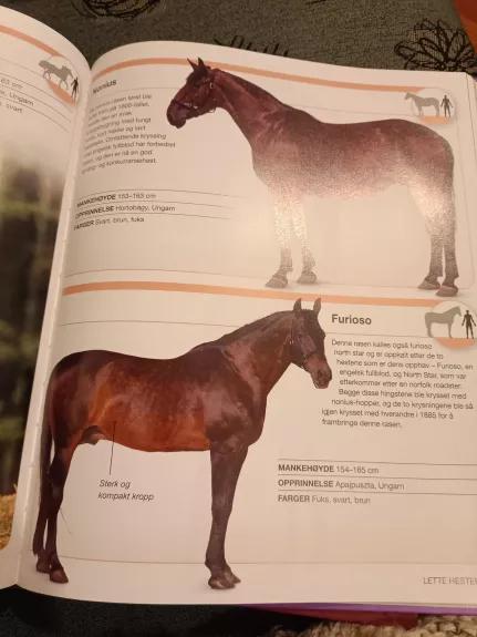 Hester Spectrum arklių katalogas