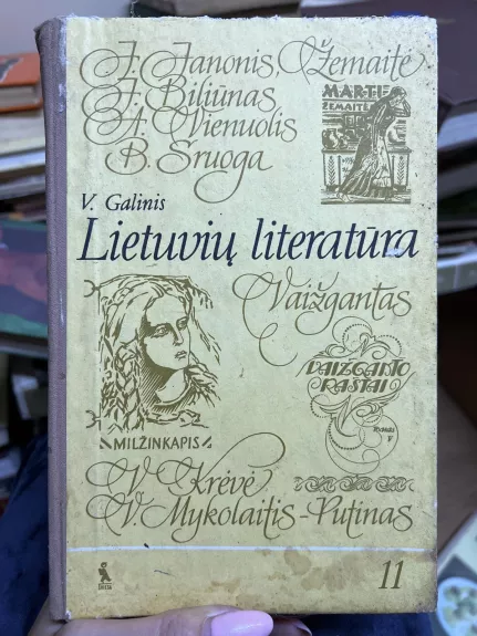 Lietuvių literatūra - Vytautas Galinis, knyga 1