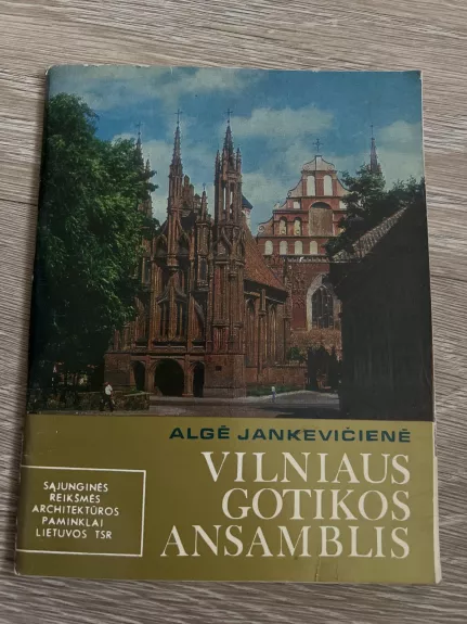 Vilniaus gotikos ansanblis - Algė Jankevičienė, knyga