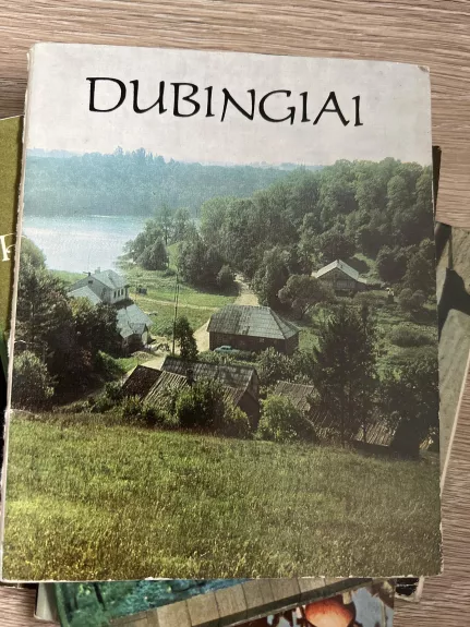 Dubingiai - Juozas Iškauskas, knyga