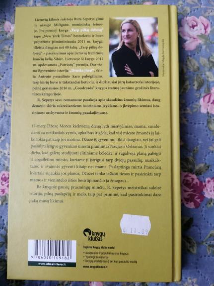 Nelengvu keliu - Šepetys Ruta, knyga 1