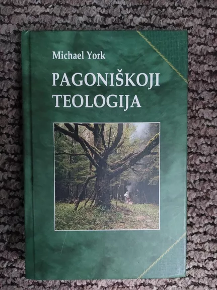 Pagoniškoji teologija - Michael York, knyga