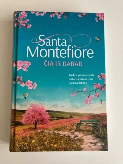 Čia ir dabar - Santa Montefiore, knyga